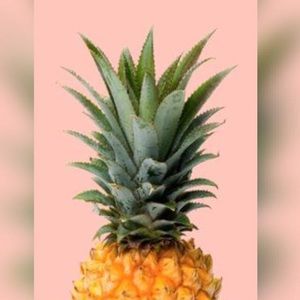 Meet your Posher, Felicity